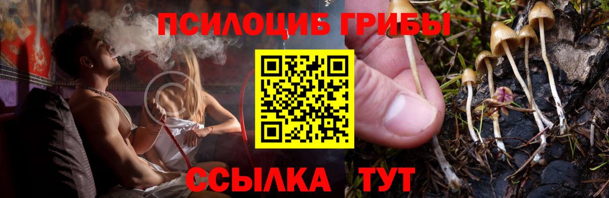 Галлюциногенные грибы GOLDEN TEACHER Звенигород